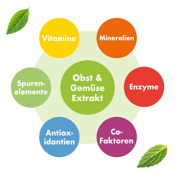 Plantamaxx Pro Immun 26 Kapseln Vitamine und Mineralien